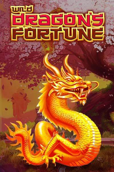 Wild Dragon S Fortune